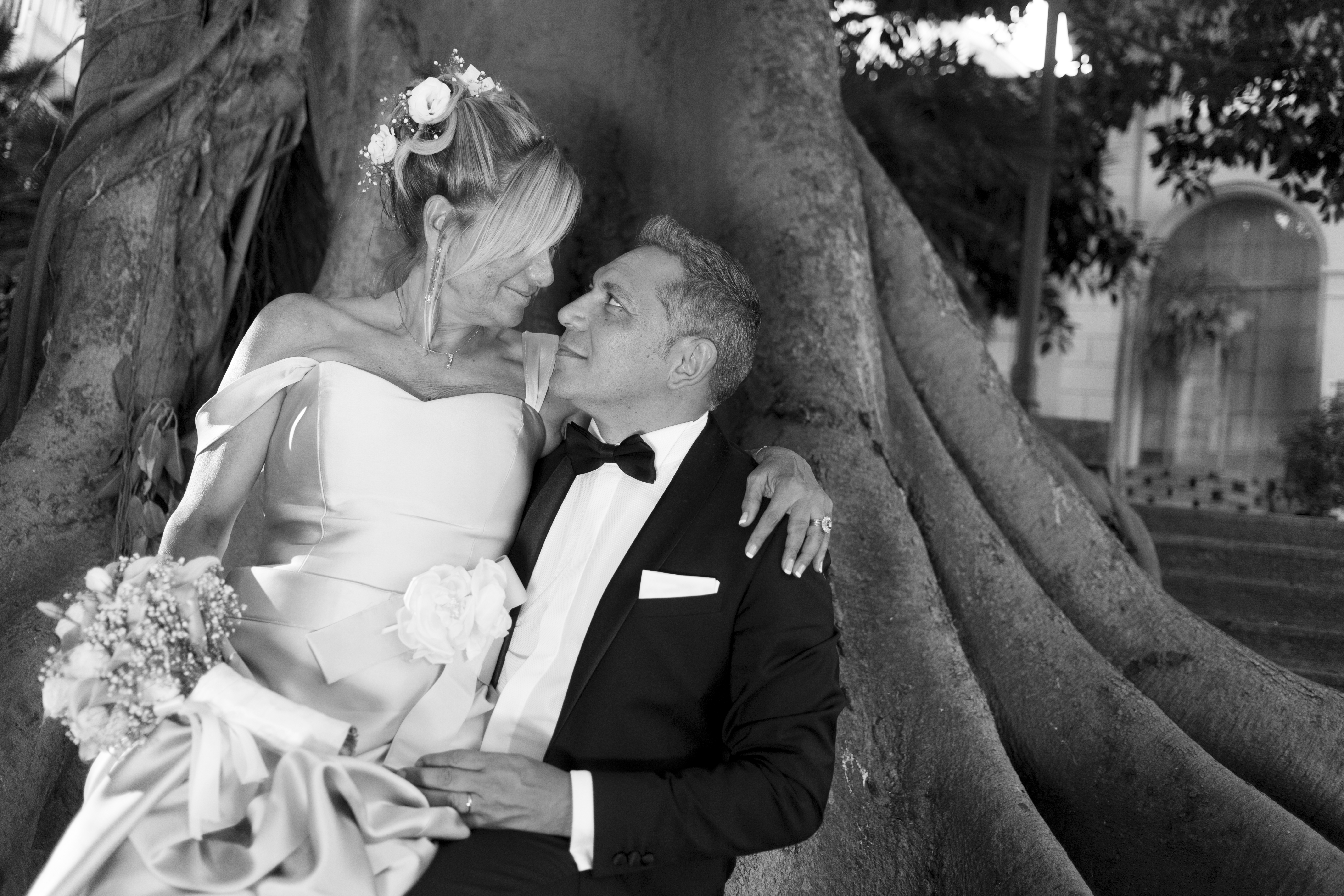 robydome (261 di 412)